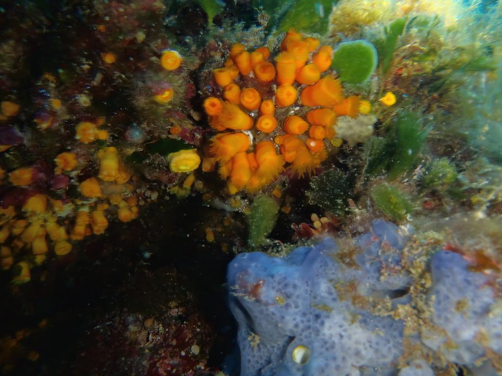 Casa Vacanza Le Farfalle Trapani Zewnętrze zdjęcie